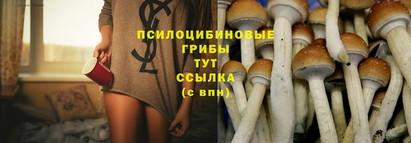 ALPHA-PVP Гусев