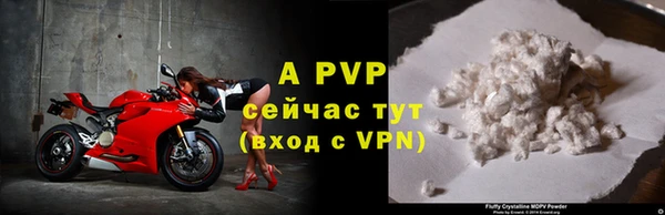 стаф Гусиноозёрск