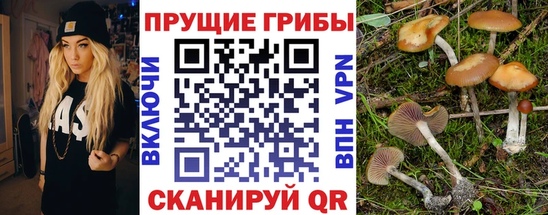 Псилоцибиновые грибы Magic Shrooms  Купить закладки  Санкт-Петербург 